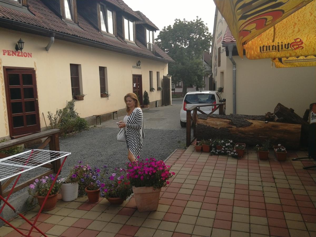 Penzion Na Jizdarne Stary Plzenec Buitenkant foto